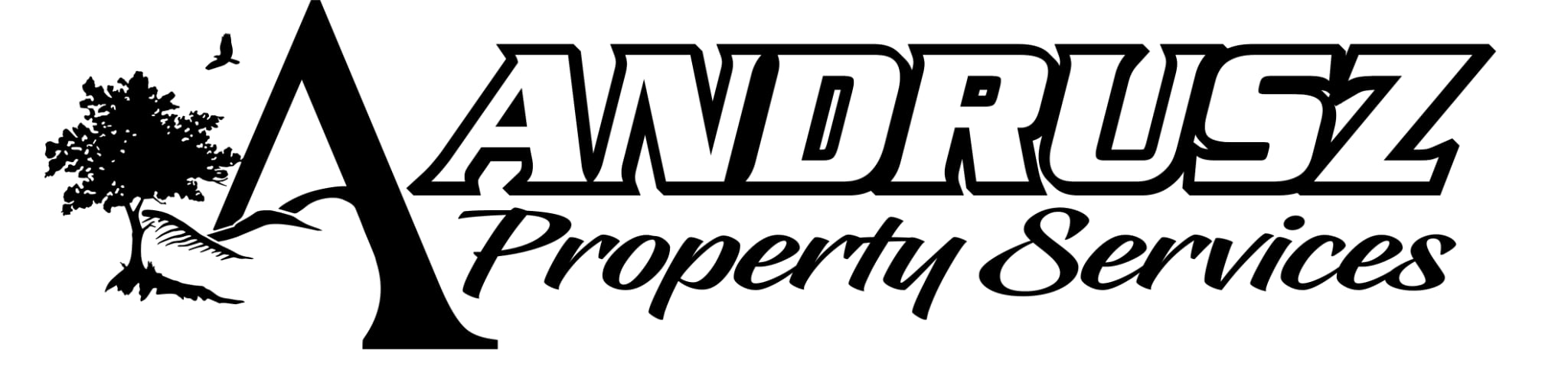 Andrusz Property Services LLC